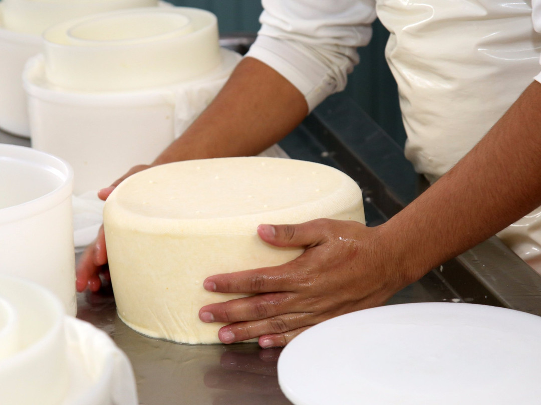 Queseria Neole-Tequisquiapan必去景点