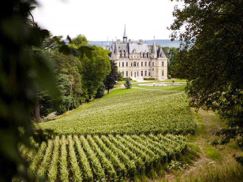 Champagne Chateau de Boursault景点图片