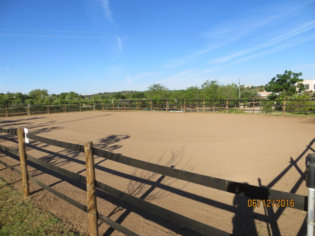 Tavira Horse Riding Quinta Beldade Stables-塔维拉必去景点