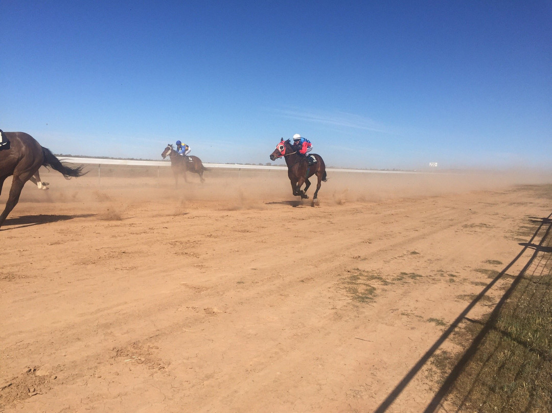 Louth Races-Bourke必去景点