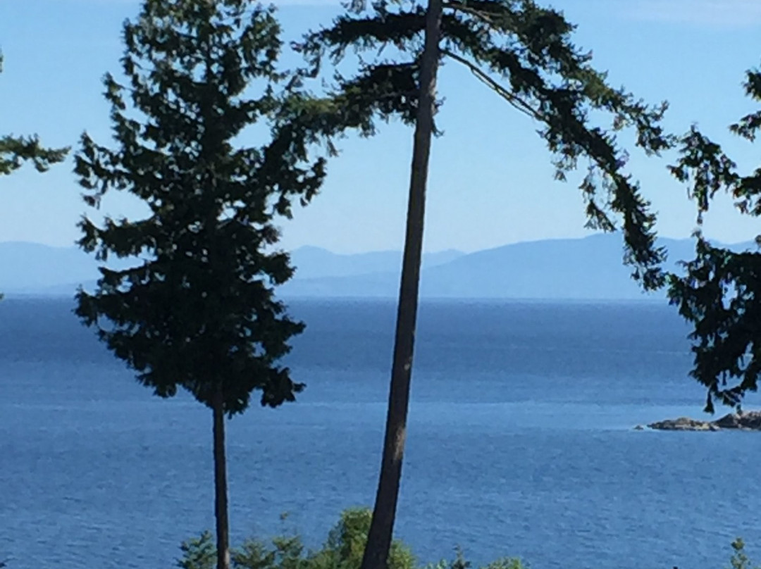 Baker Beach Bed & Breakfast主图