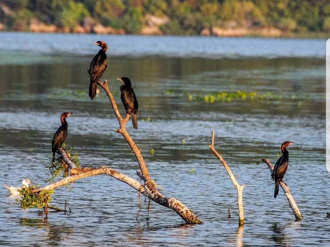 Pelinovo Tours-Stari Bar必去景点