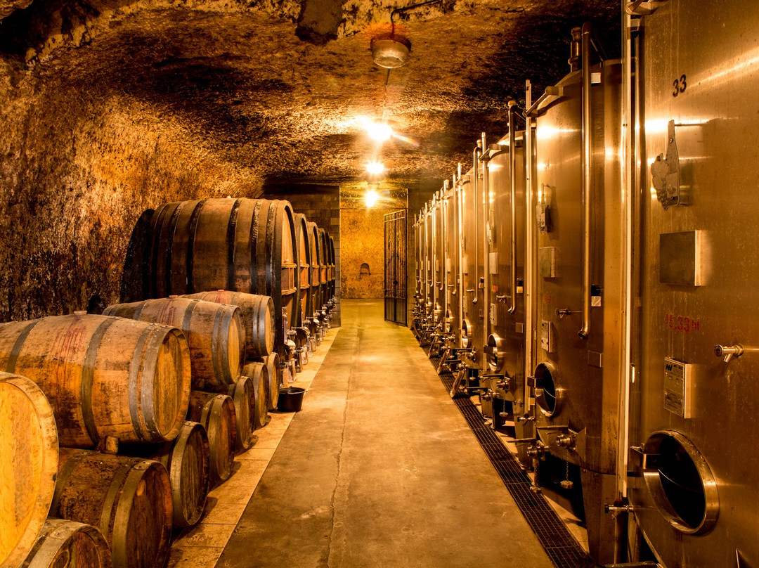 Domaine Merieau景点图片