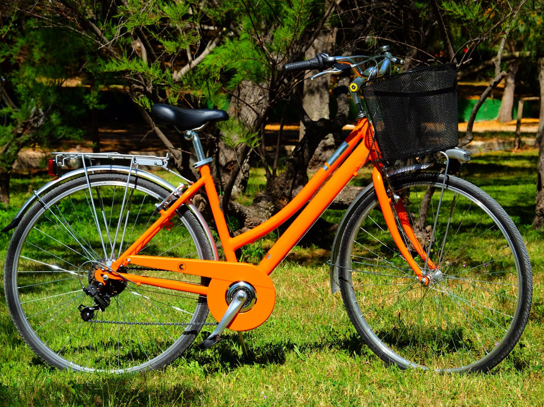 Xtreme Sport & Co - Bike and Scooter Rentals-阿尔盖罗必去景点