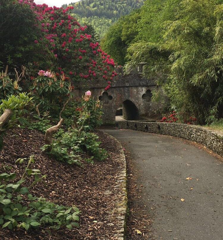 Tollymore Forest Park景点图片
