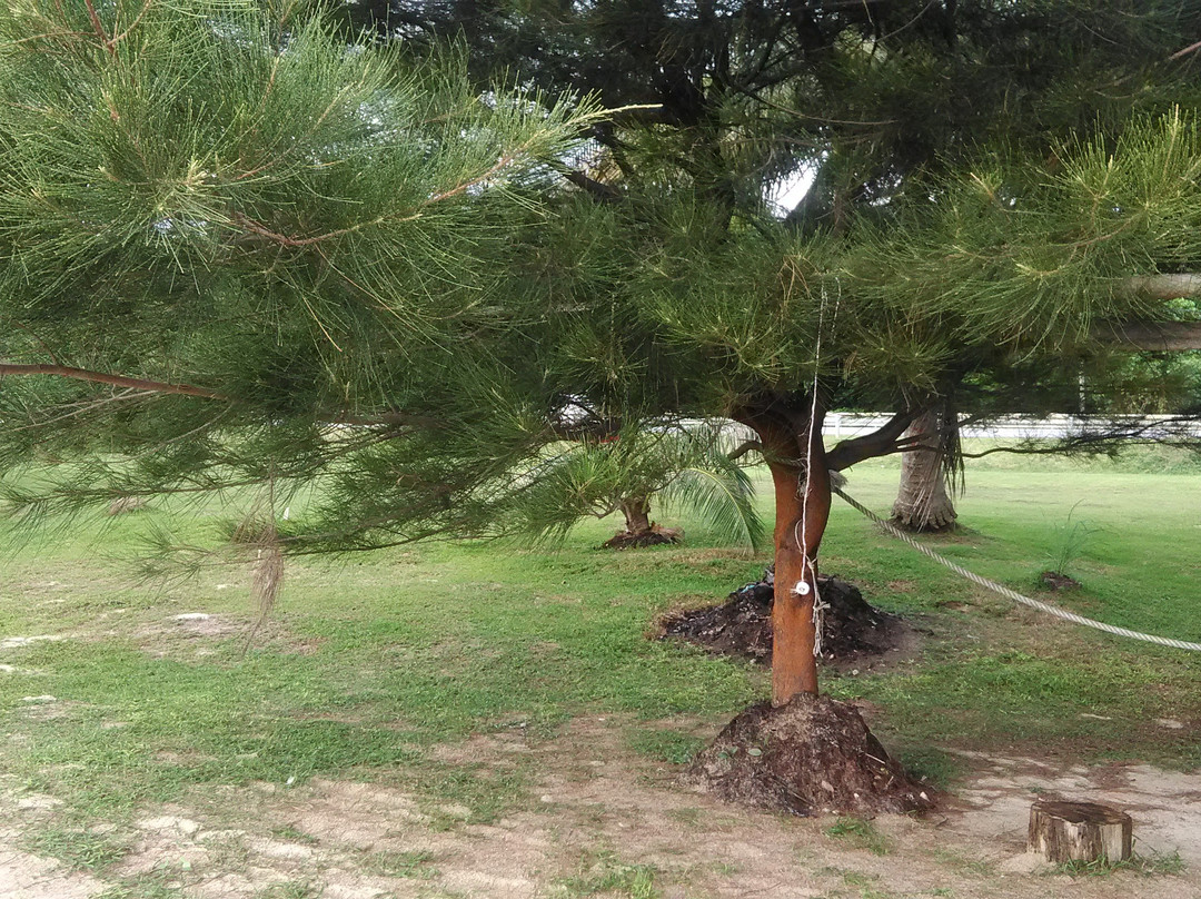Labuan Beach-纳闽必去景点