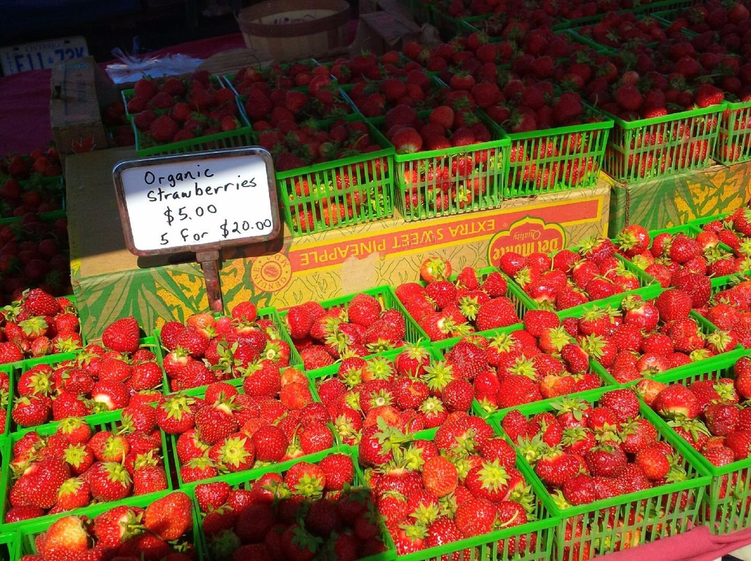 Bucket List Travel Adventures-Elmira必去景点