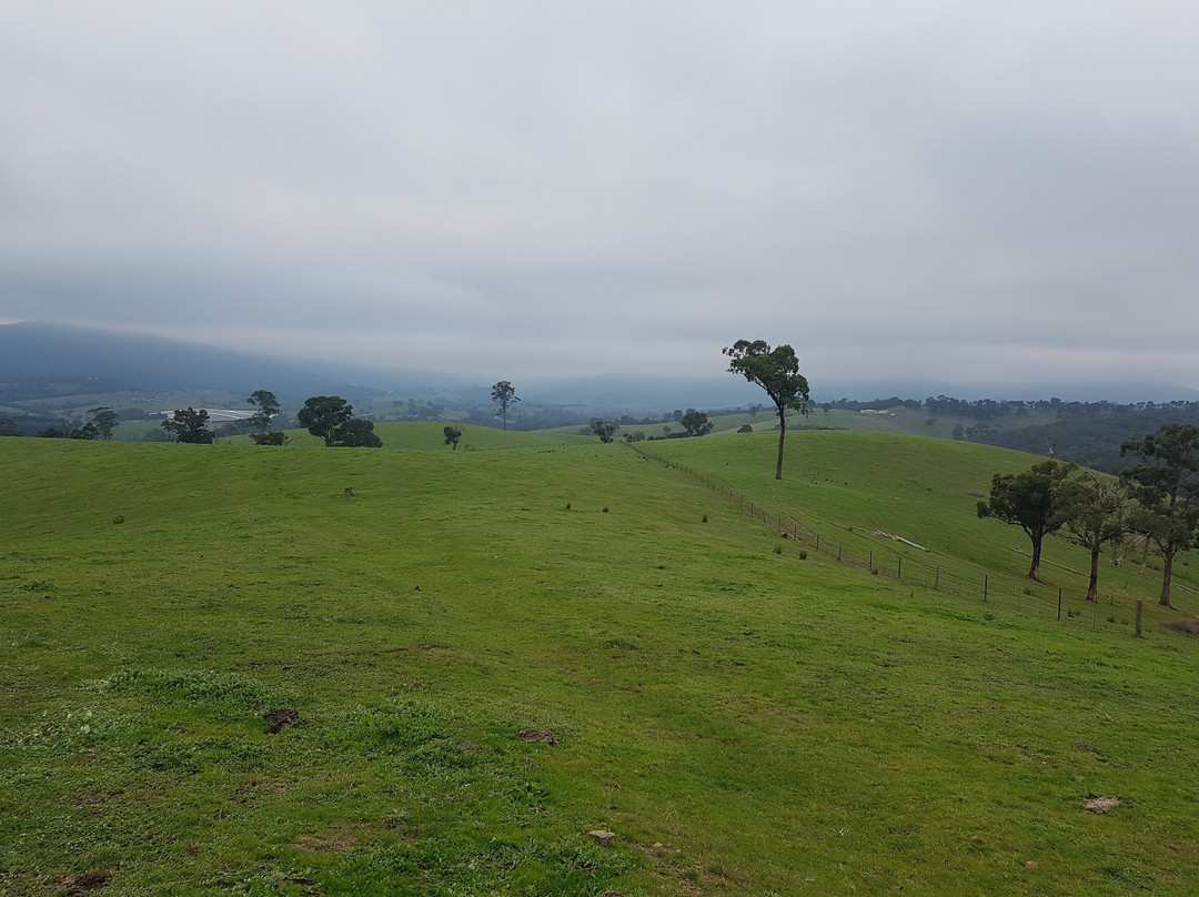 Shaws Road Winery-Arthurs Creek必去景点