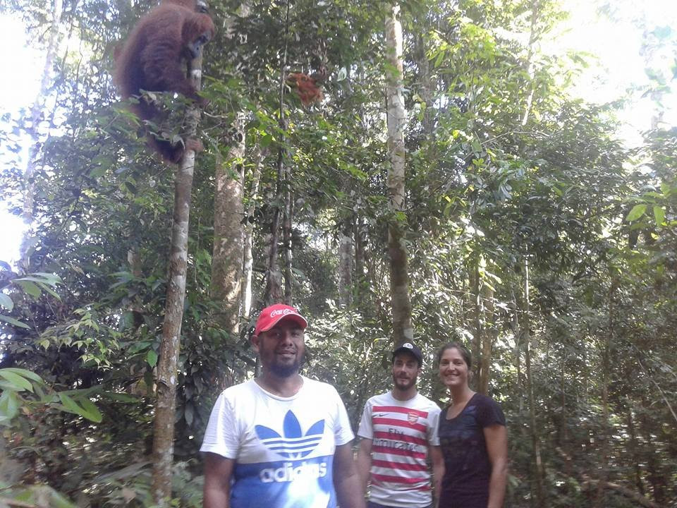 Bukit Lawang Planet-武吉拉旺必去景点