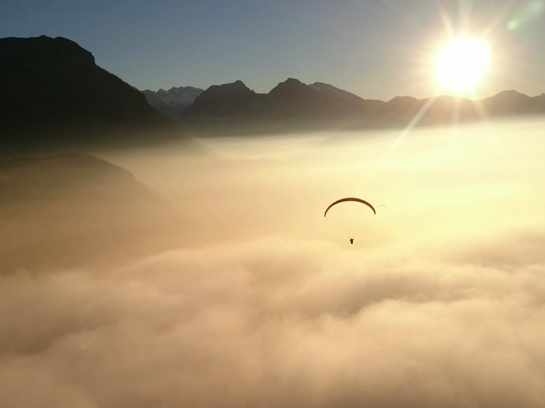 DragonView.ch Paragliding Adventure景点图片