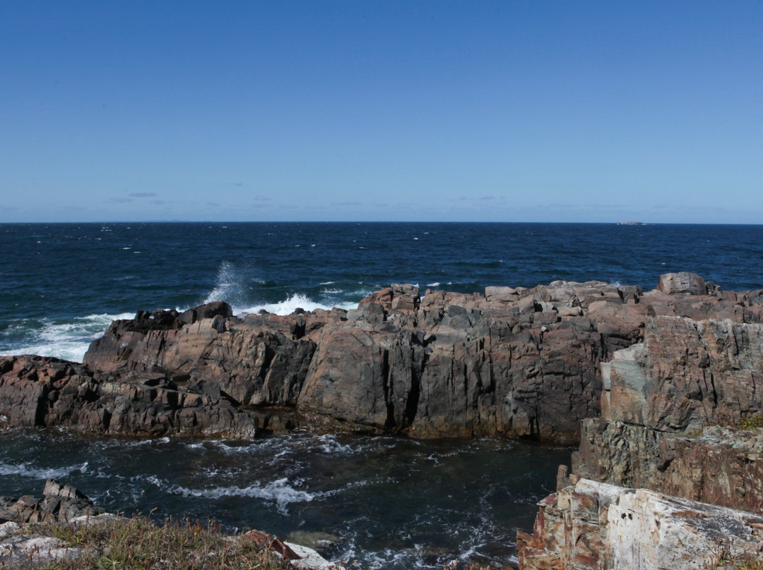 Cape Shore Trail景点图片