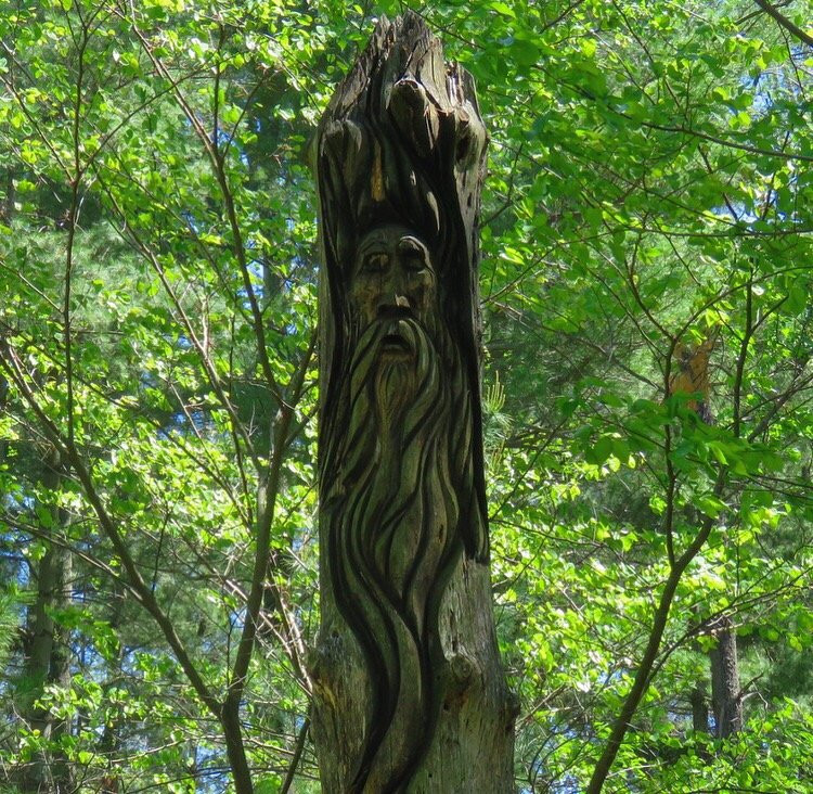 Azalea Path Arboretum and Botanical Gardens-Hazleton必去景点