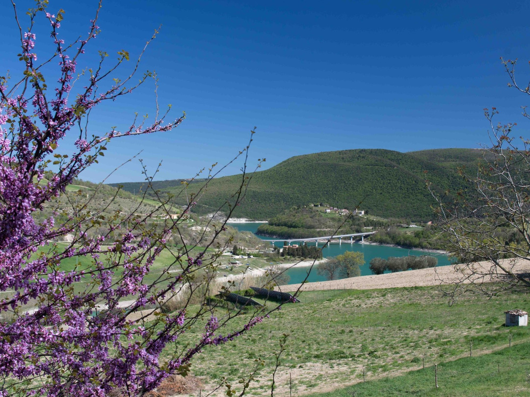 Agriturismo Ristorante Colleverde