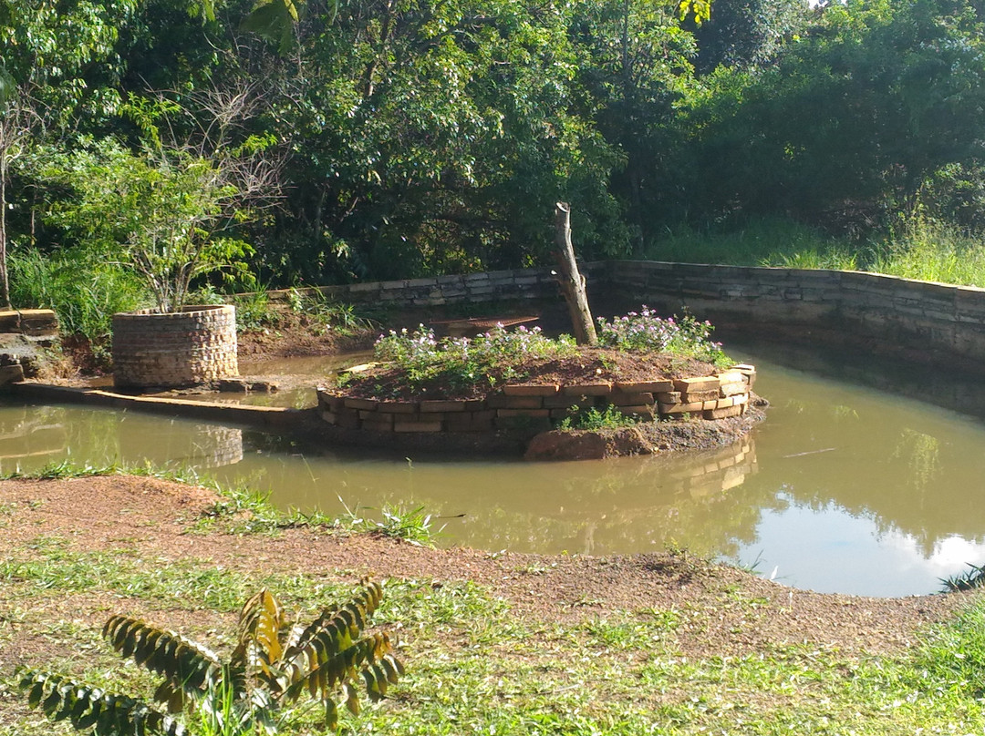 Aguas Claras旅游攻略图片