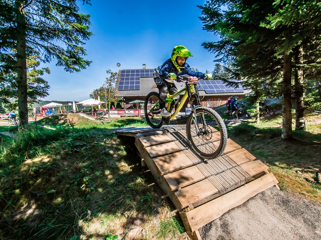 Bikepark Bad Wildbad景点图片