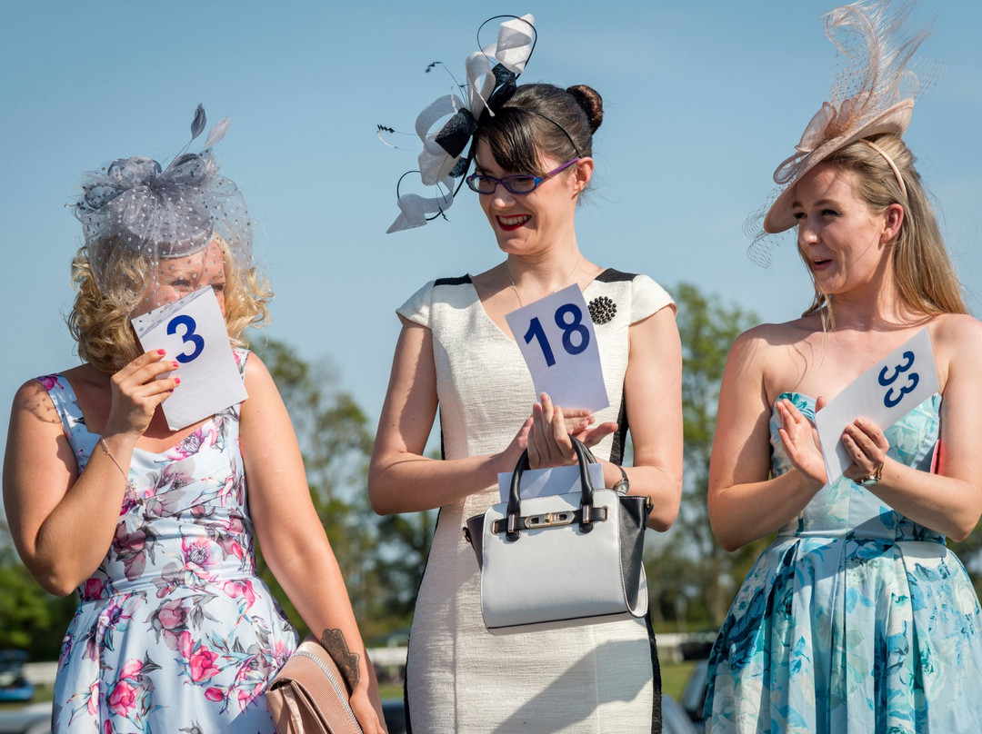 Plumpton Racecourse景点图片