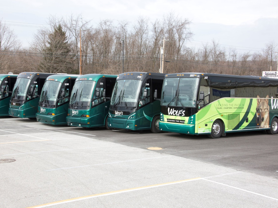 Wolf's Bus Lines景点图片