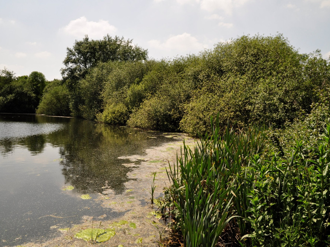 Belhus Wood Country park景点图片