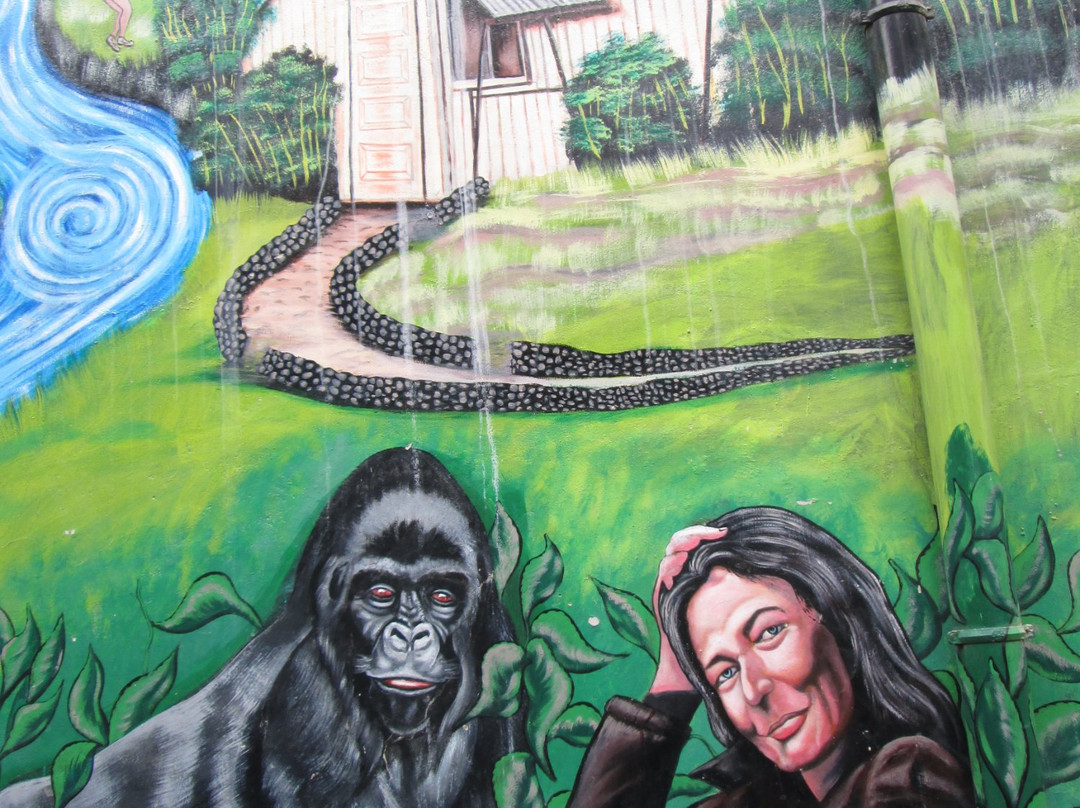 Dian Fossey Nyiramacibir Hotel主图