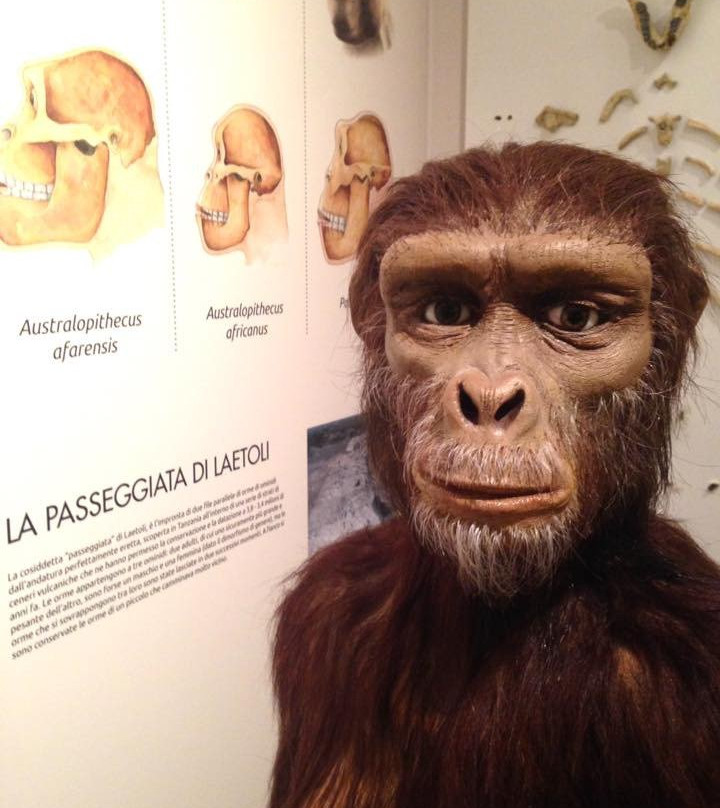 Civico Museo Archeologico-卡马约雷必去景点