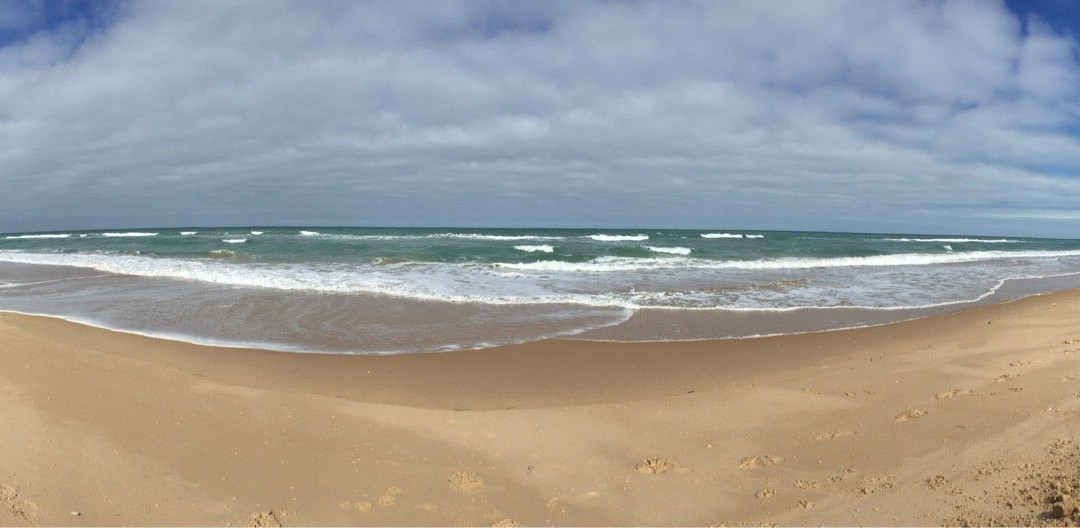 Reeeves Beach-Woodside必去景点