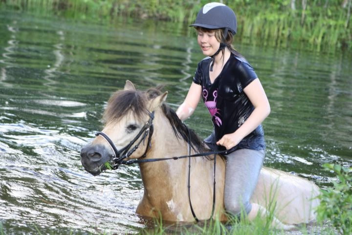 Off-Piste Adventures-Kemijarvi必去景点