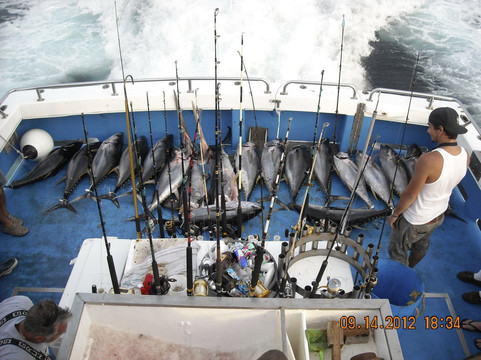 Nick Caruso Enterprises, Inc.-Belmar必去景点