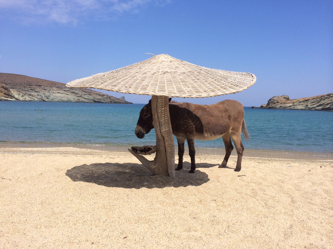 Serifos Scuba Divers-Livadi必去景点