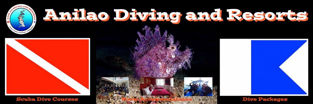 Anilao Diving and Resorts景点图片