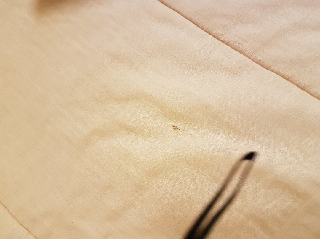 Aloe Ridge Bed and Breakfast主图