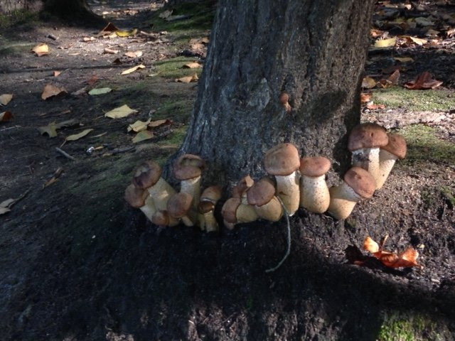 Lake Mohegan Recreation Area-费尔菲尔德必去景点