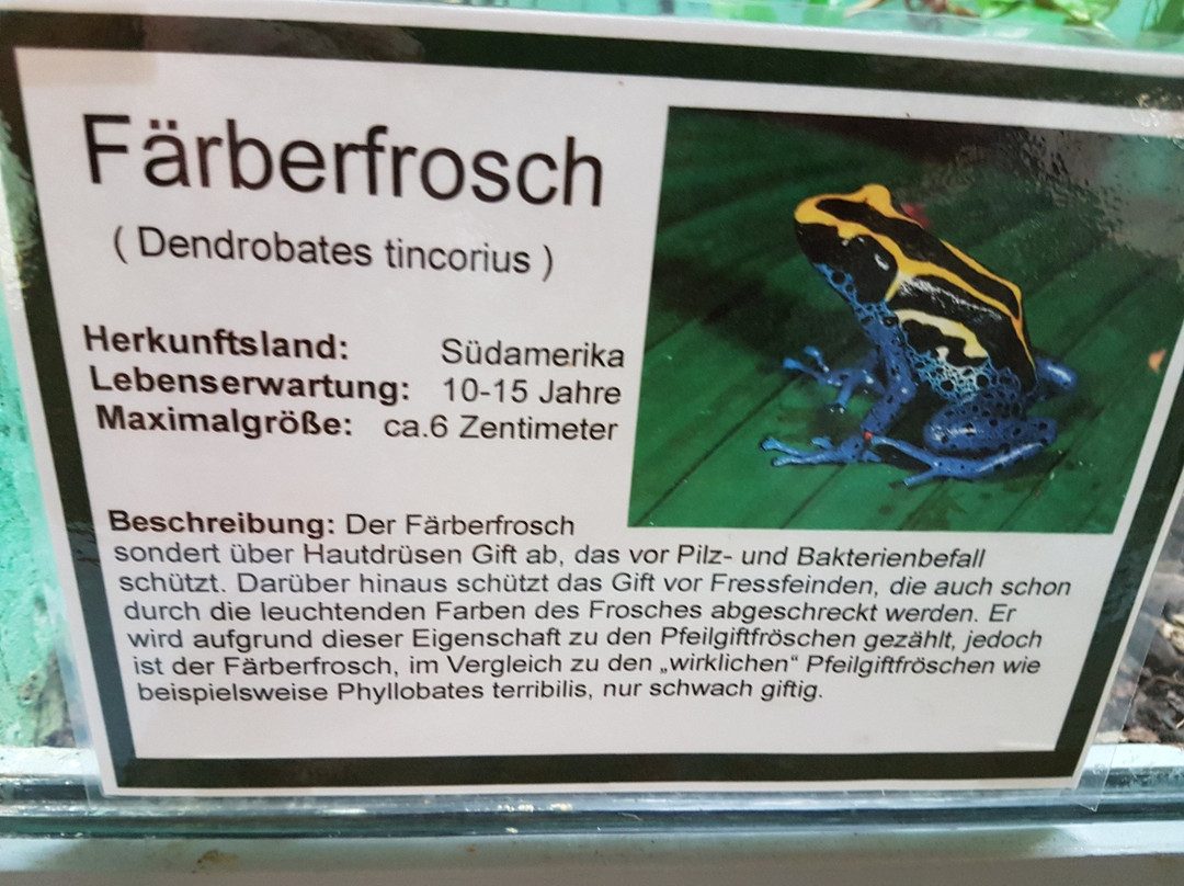 Welt der Reptilien / Word of reptiles-Dobrichau必去景点