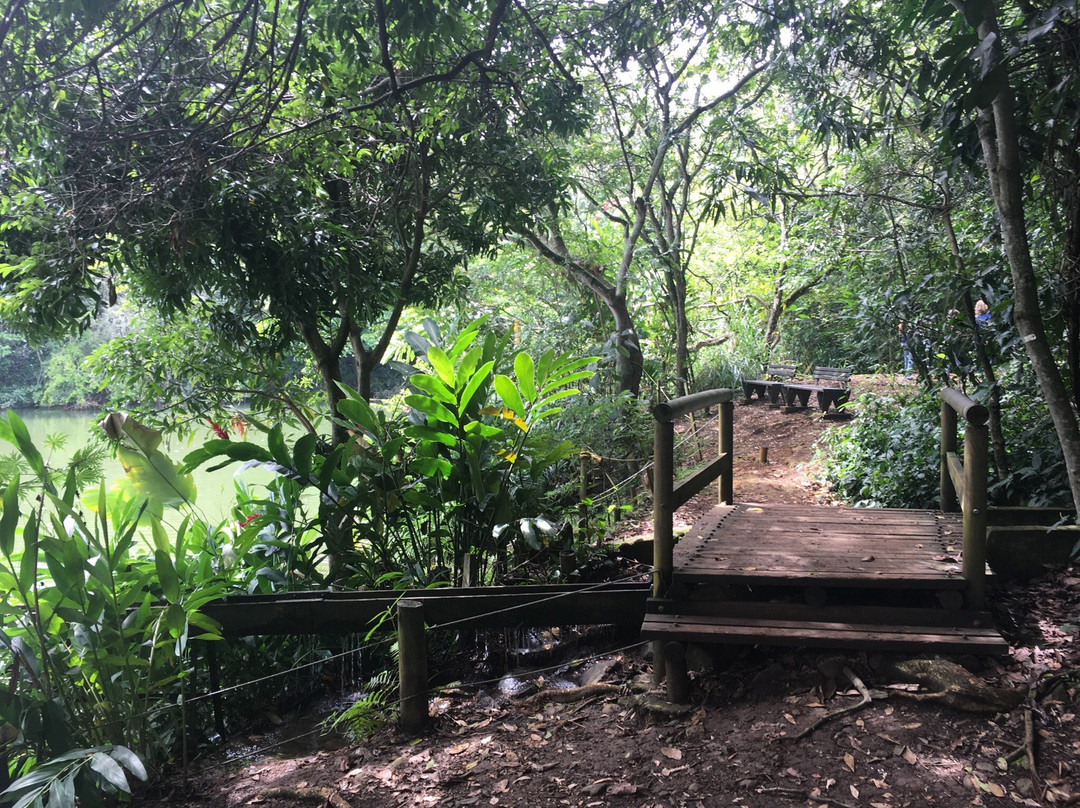 Ecoparque de las Garzas-卡利必去景点