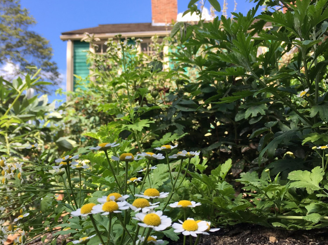 Durant-Kenrick House & Grounds景点图片