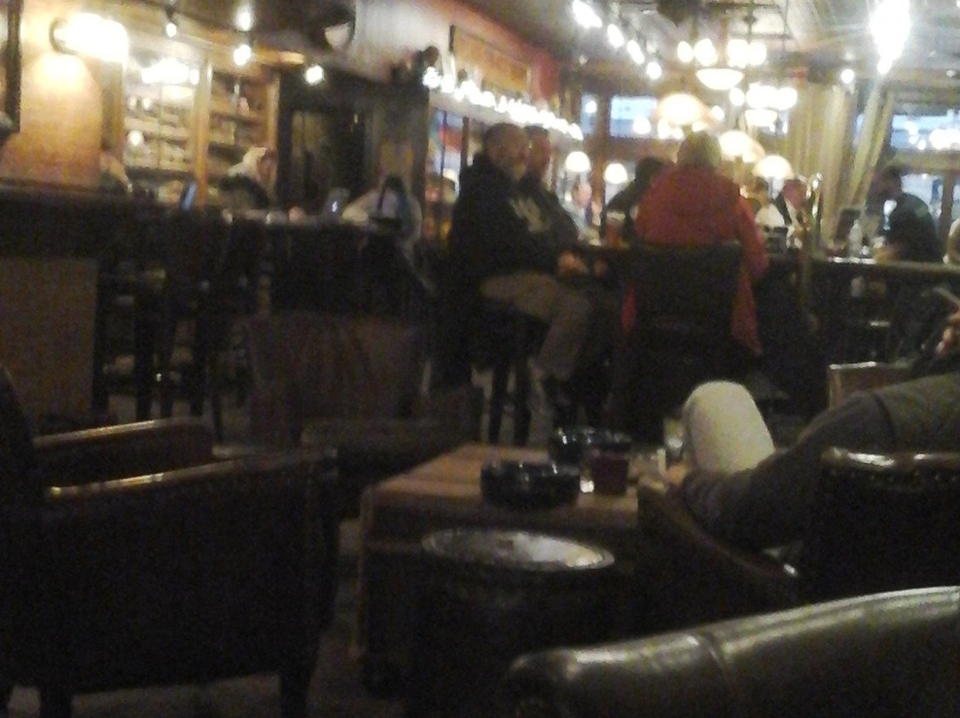 Owl Shop Cigar Lounge-纽黑文必去景点