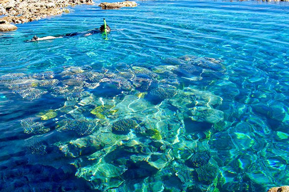 Niue OrientationTour-阿洛菲必去景点