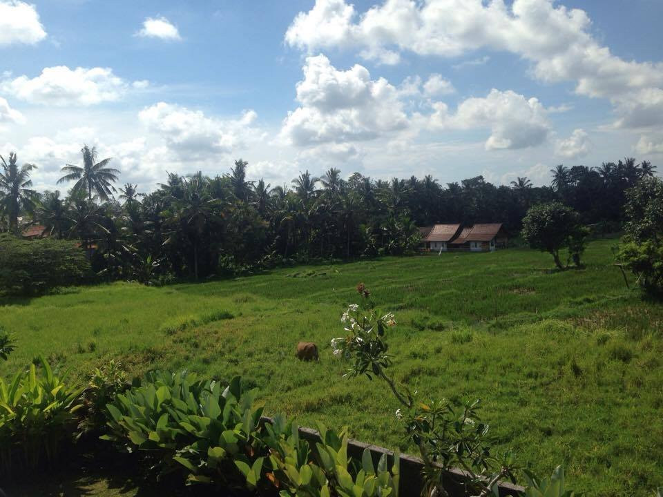 Kutuh酒店住宿-Uma Kutuh Bungalow