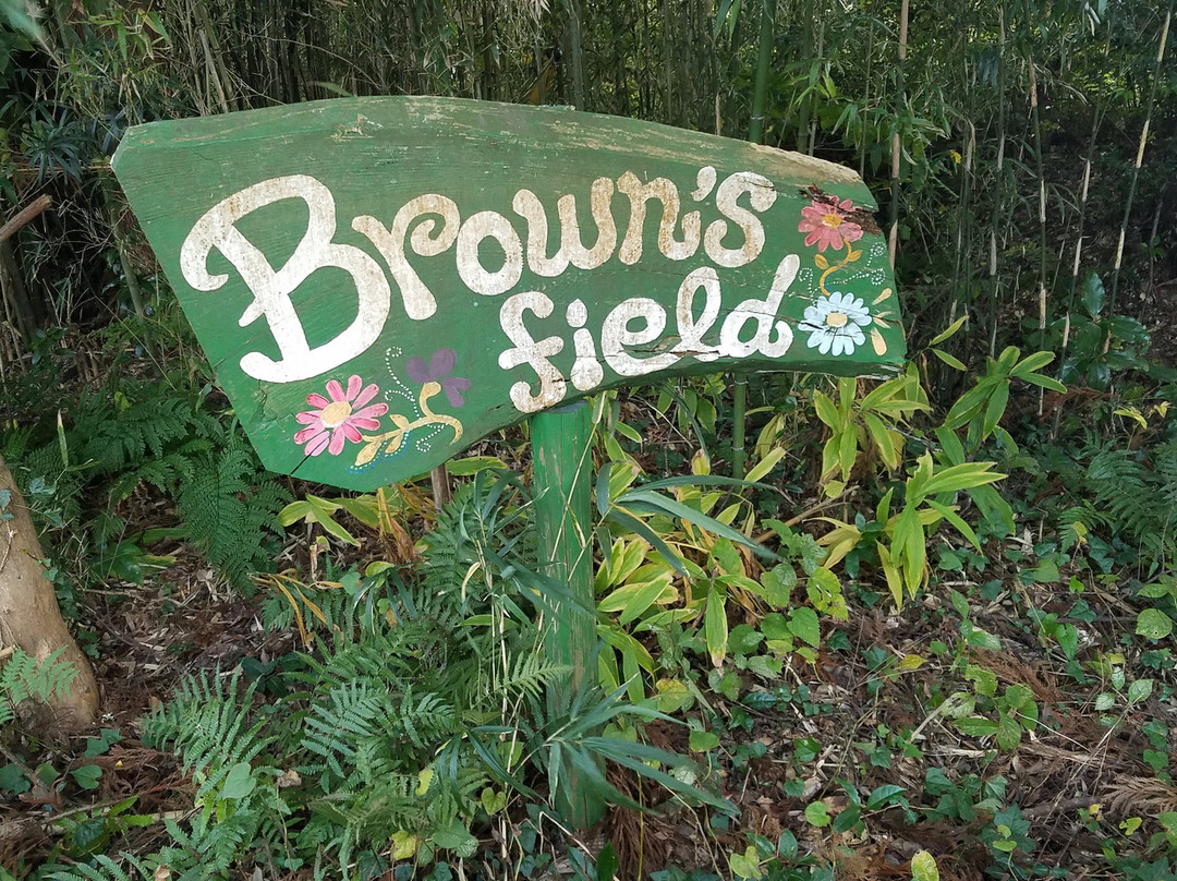 Brown's Field景点图片