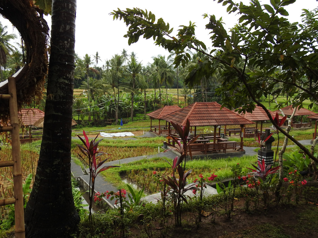 Kopi Kemenuh-Kemenuh必去景点