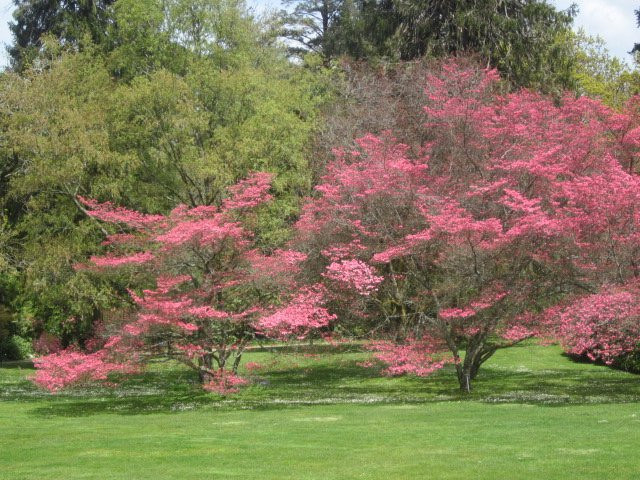 Duneira Estate-马其顿必去景点