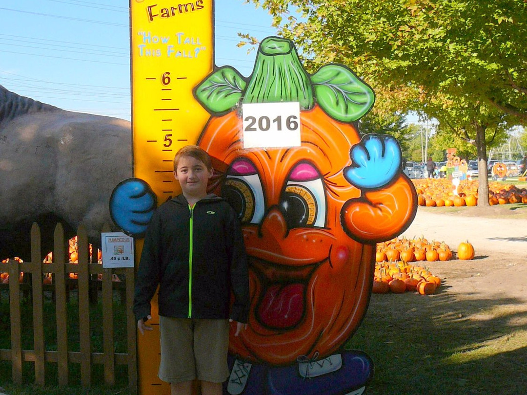 Didier Farms-Lincolnshire必去景点