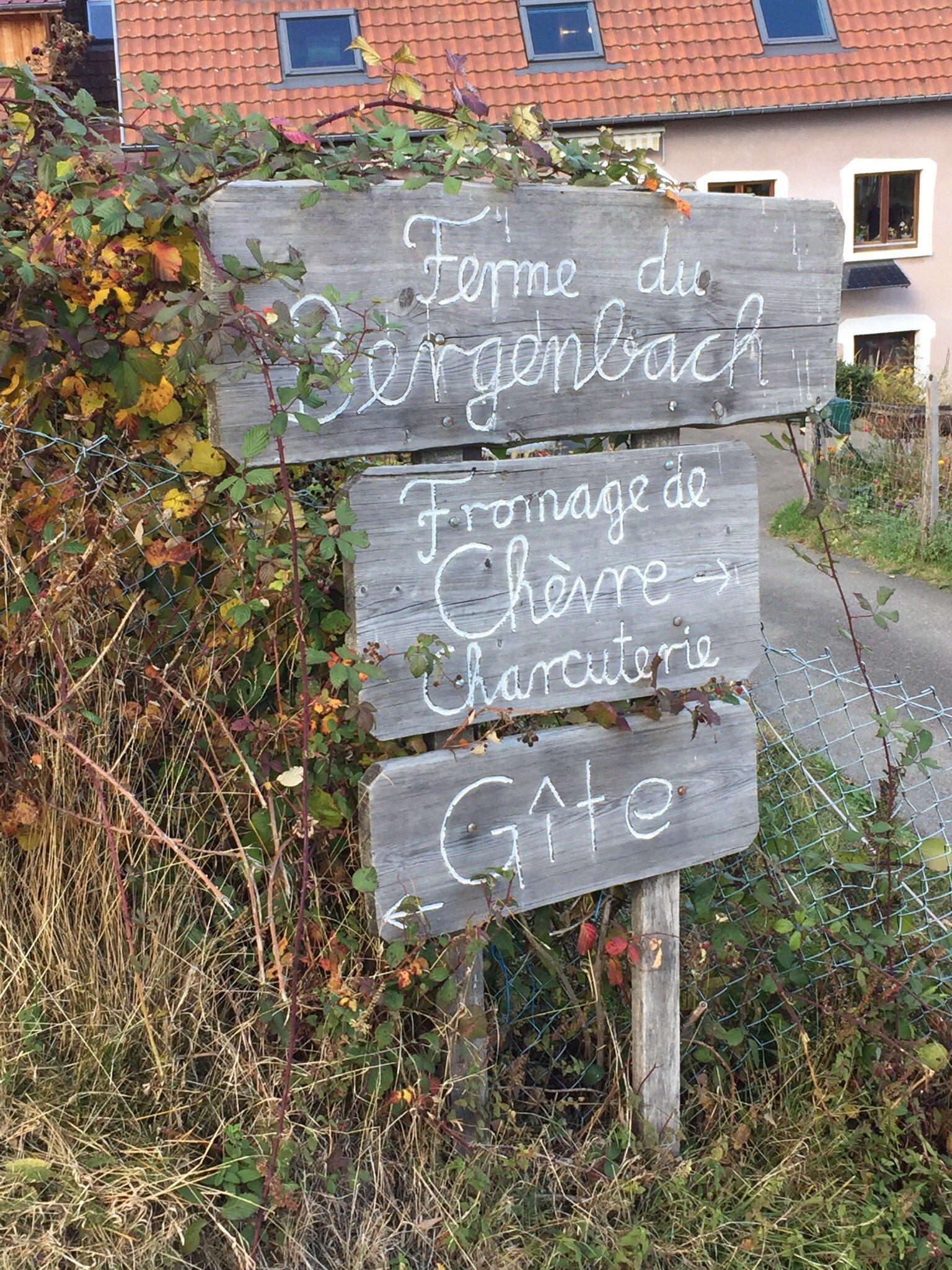 Ferme du Bergenbach-官方