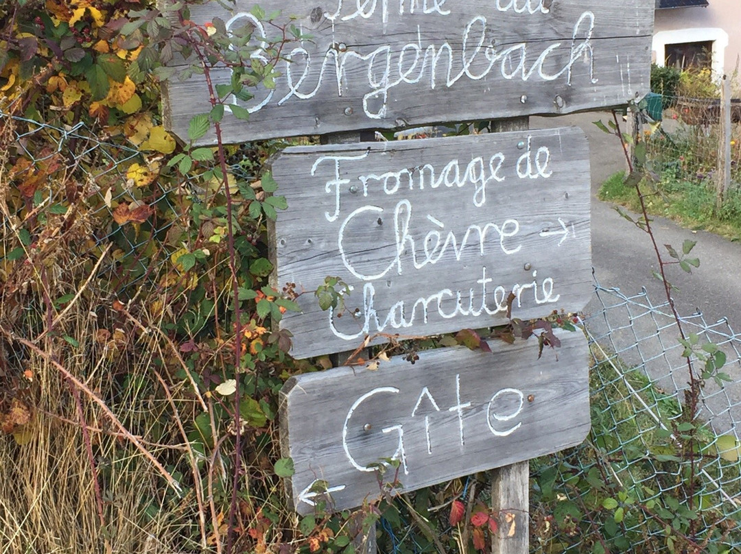 Ferme du Bergenbach主图