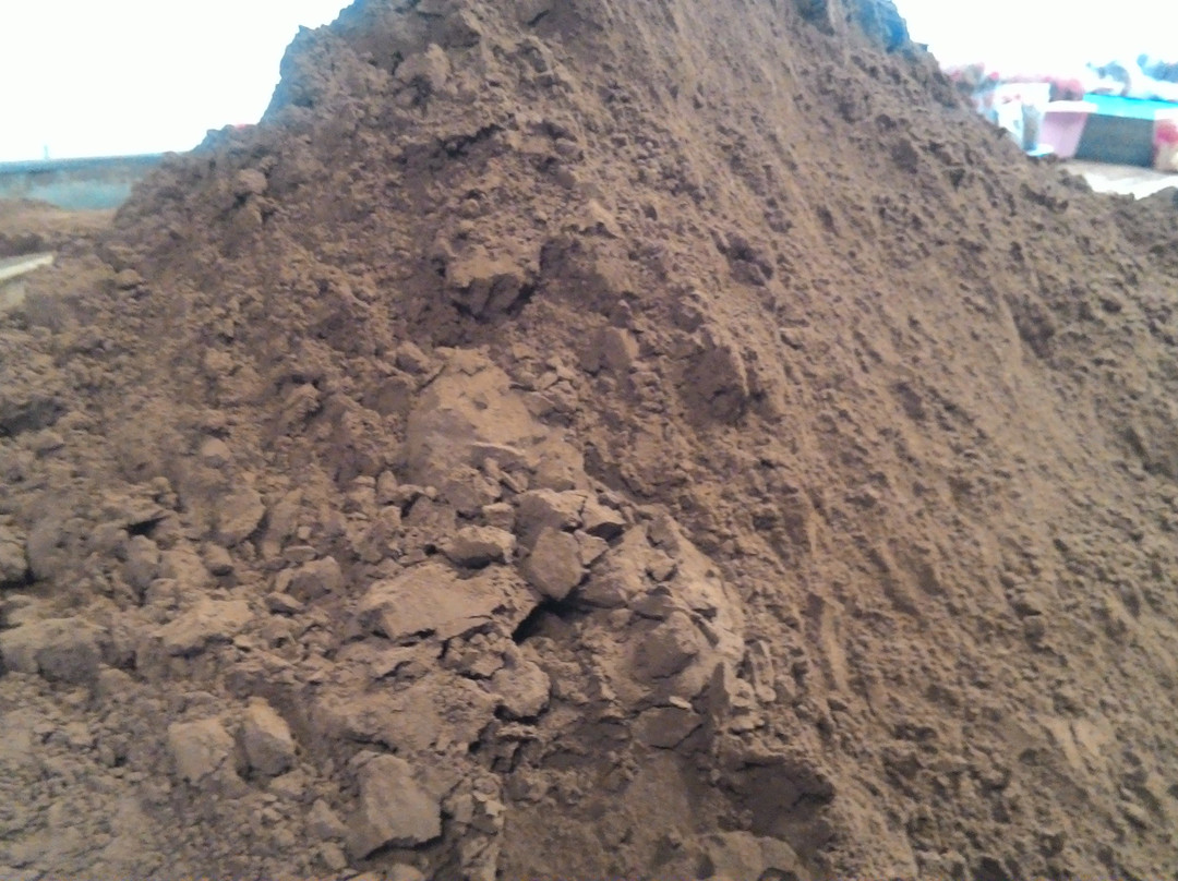 Kopi Kiniko-Batusangkar必去景点