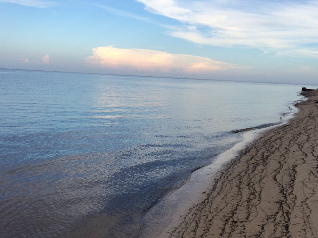 Bald Point State Park-Alligator Point必去景点