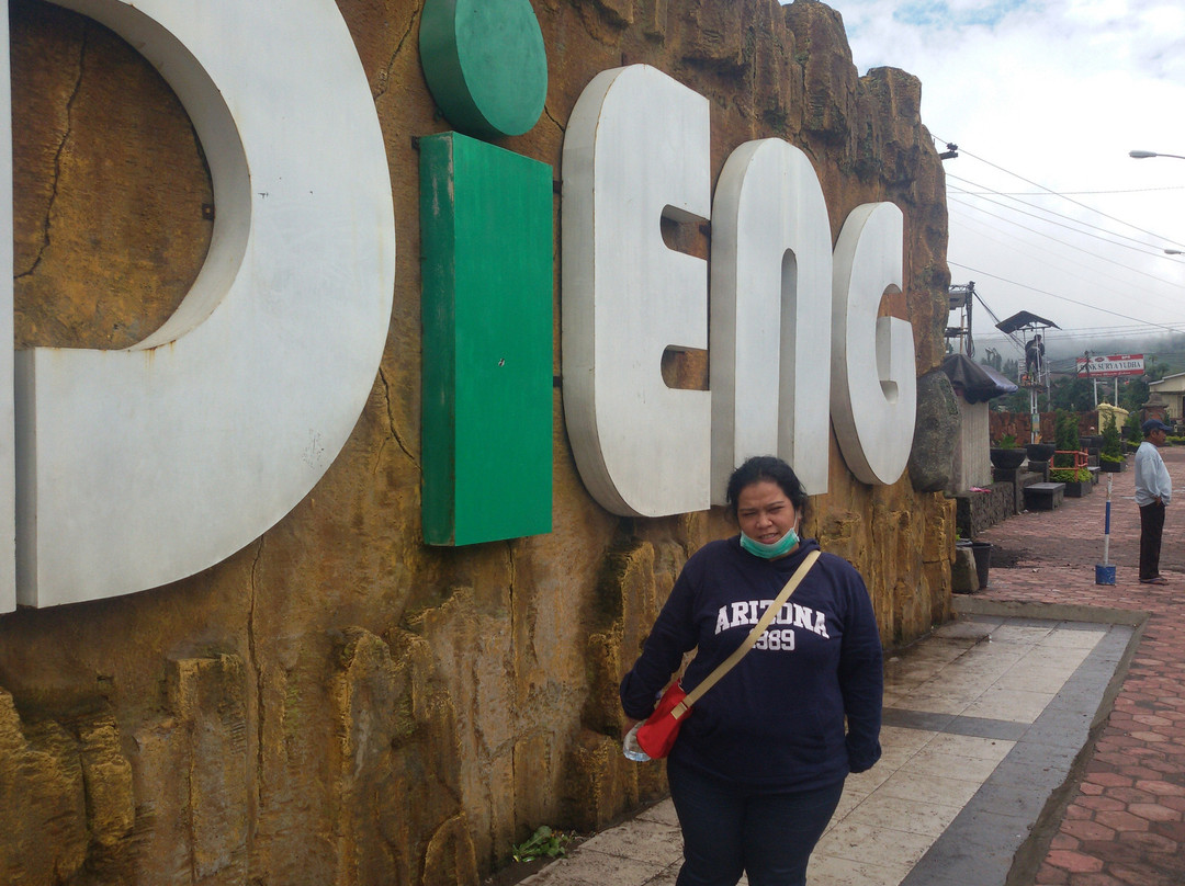 Dieng Plateau Homestay主图