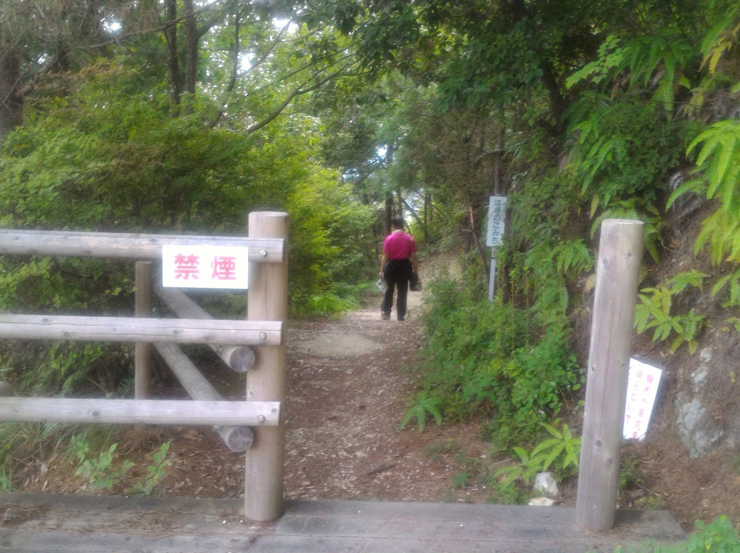 Minokamo Health Forest Park-美浓加茂市必去景点