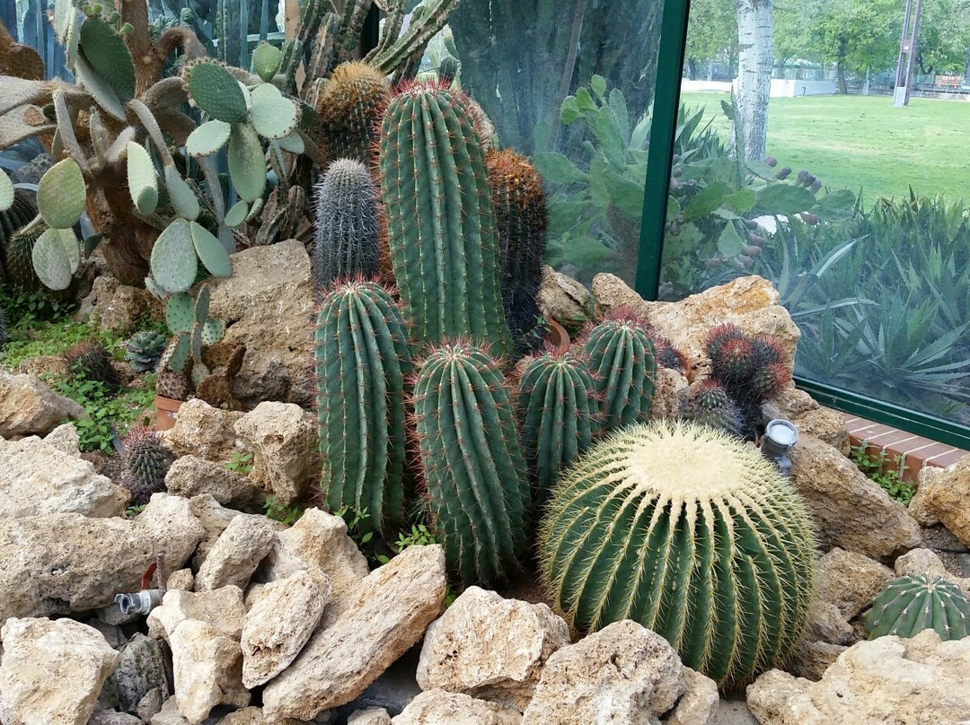 Parco del Mercatello景点图片