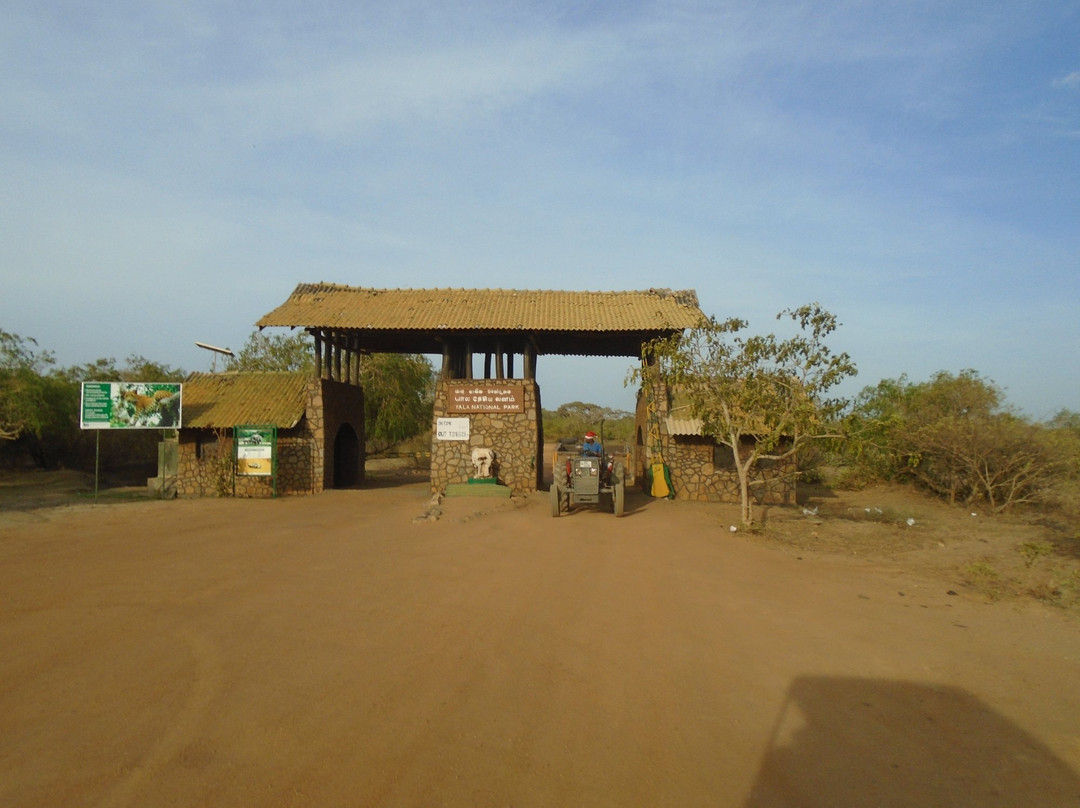 Yala Excursions-雅拉国家公园必去景点