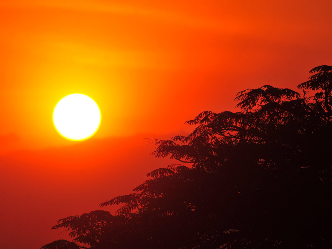 BIC Tours-坎帕拉必去景点